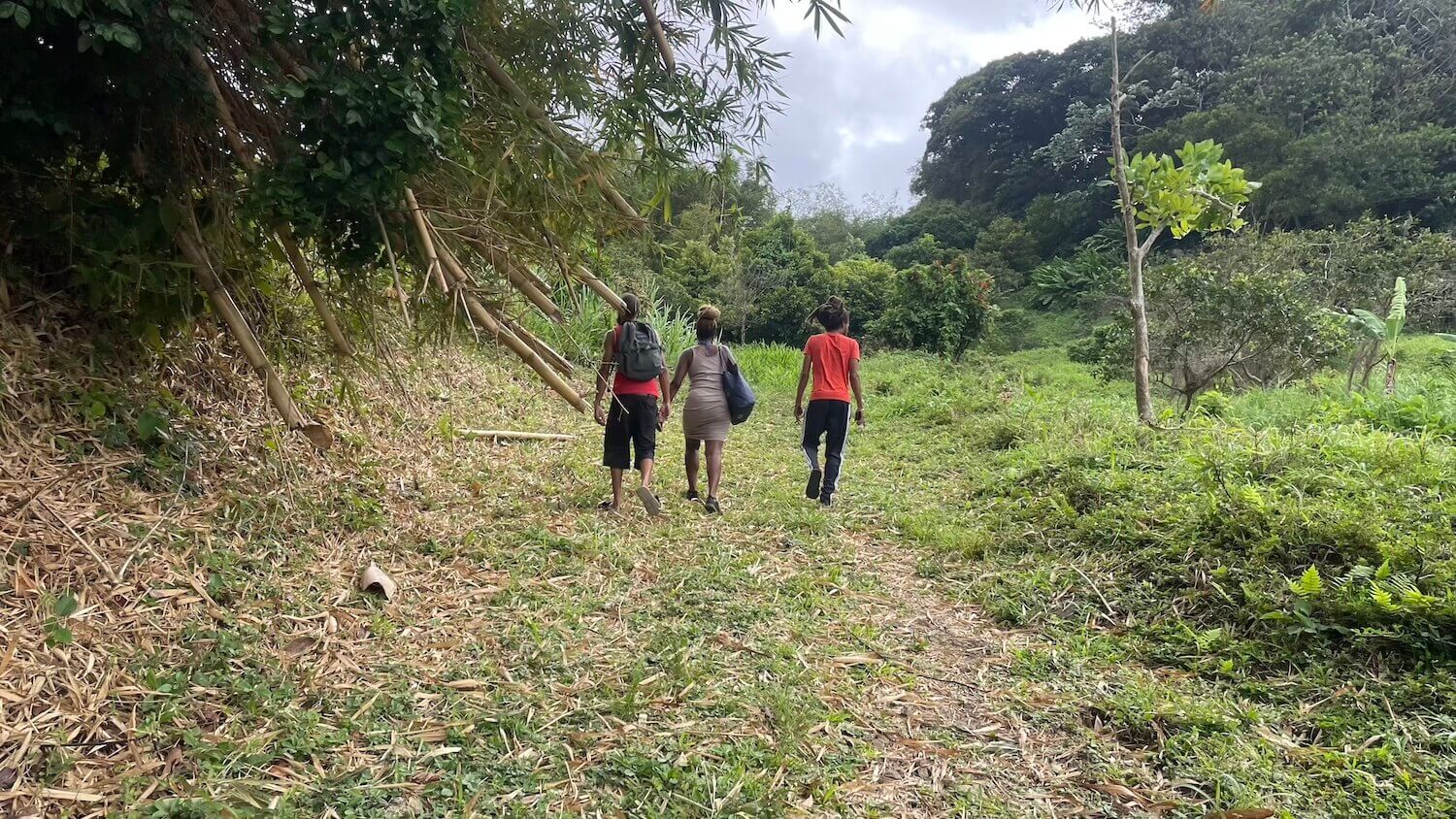 Unleash Your Inner Explorer - Grenada Hiking Trails with Syisha Grenada